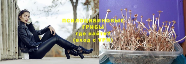 ешки Армянск